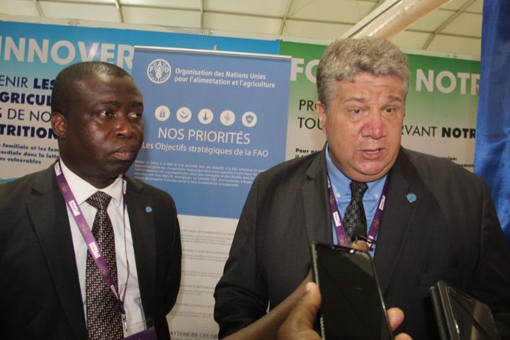 La FAO appuie la Côte d’Ivoire pour contenir la peste porcine africaine